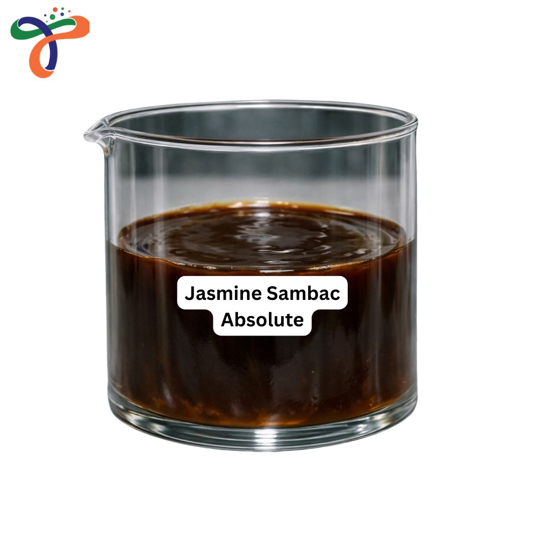 Jasmine Sambac Absolute